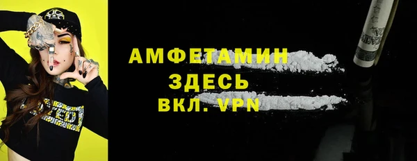 сатива Беломорск