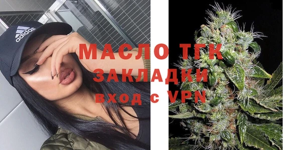 сатива Беломорск