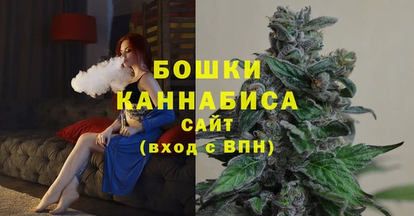 эйфоретик Белокуриха