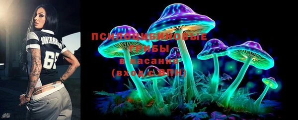 эйфоретик Белокуриха