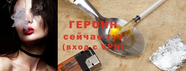 сатива Беломорск